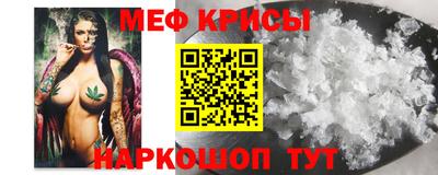 СК Бийск