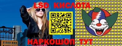 СК Бийск