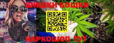 СК Бийск