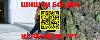 СК Бийск