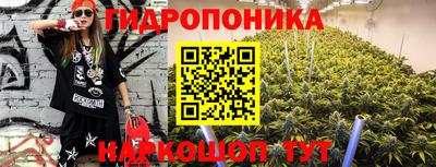 СК Бийск