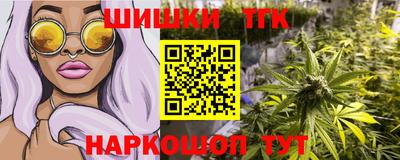 СК Бийск