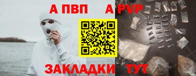 СК Бийск