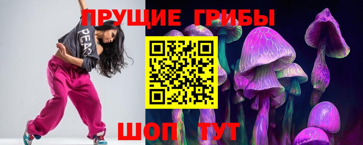 купить наркоту  Вход с VPN  Псилоцибиновые грибы Magic Shrooms  Ковров  Псилоцибиновые грибы Cubensis 